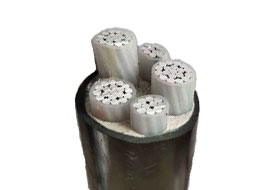 LXV Cable